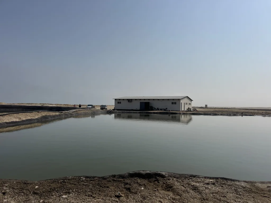 The hatchery seen across the nursery pond