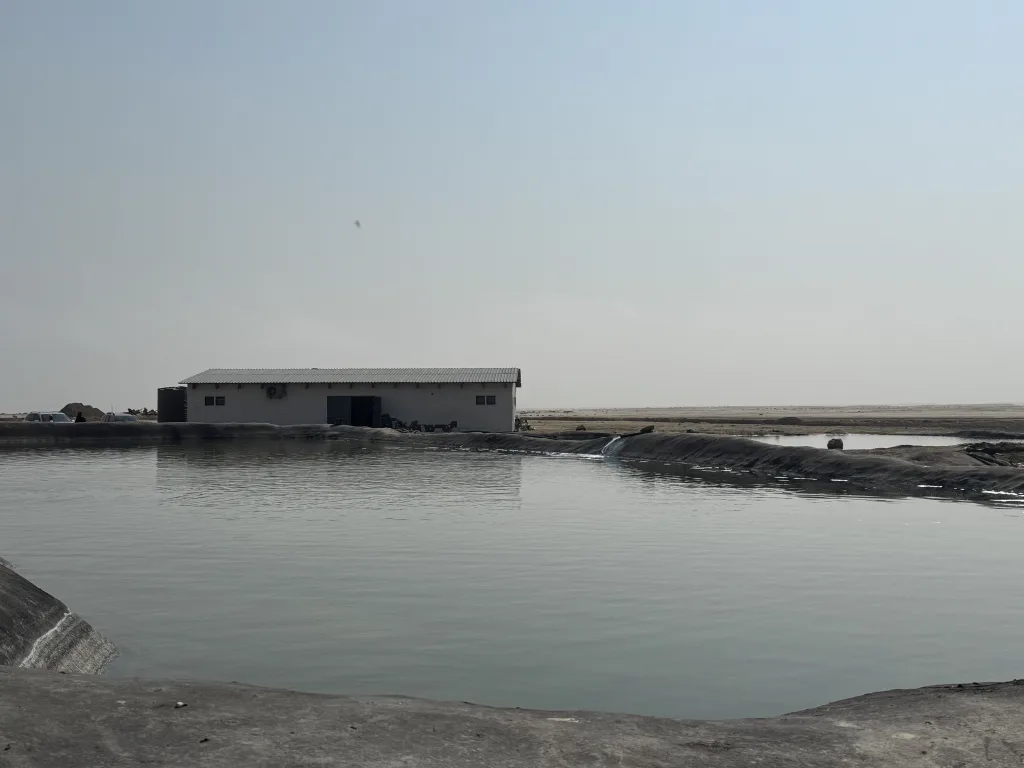The Salt Works ponds and hatchery building at Swakopmund