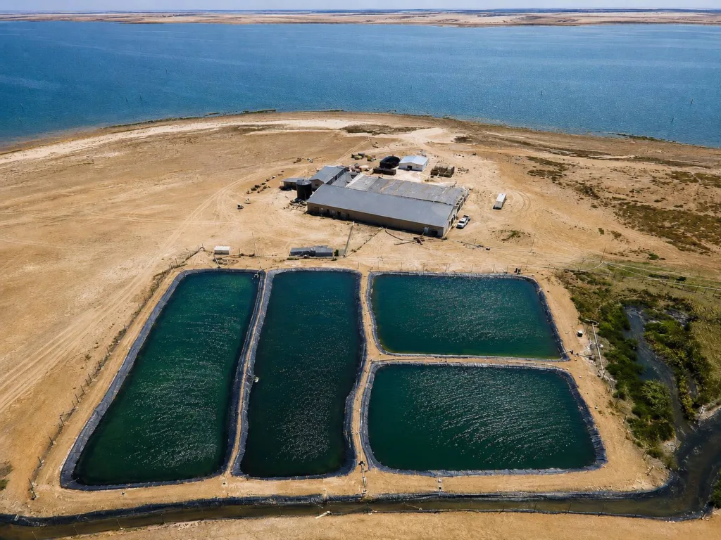 Aerial view of Beiraaquaculture