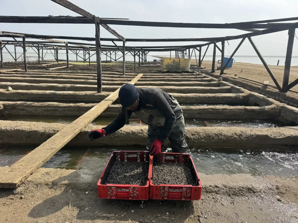 Pond grading scaled (1)